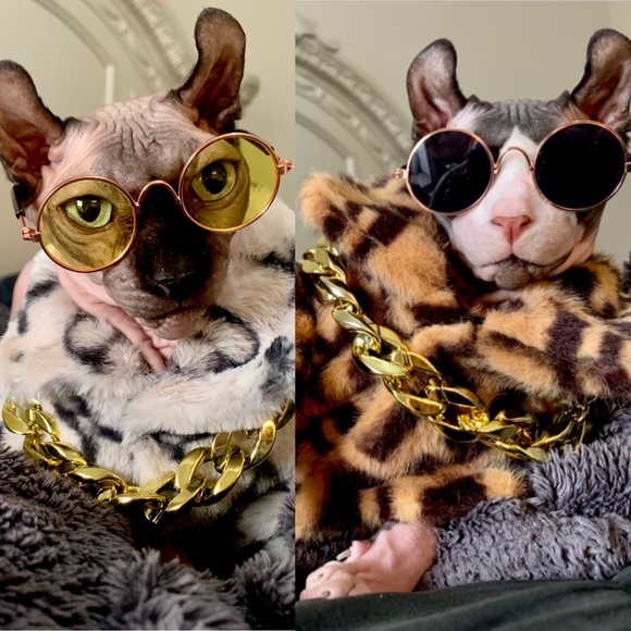 Meet your Posher, Chrystina - Picture 3 of 3